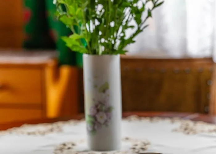 منزل للإقامة Agawa زاكوباني